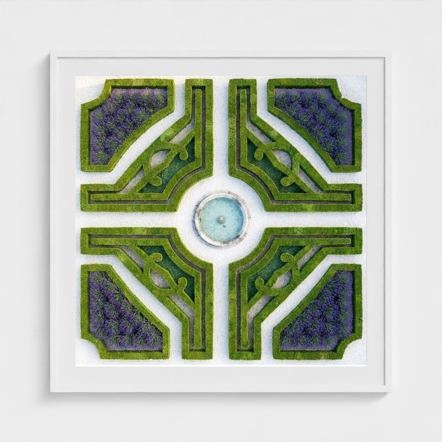 topiary-garden 36x36-white frame frame