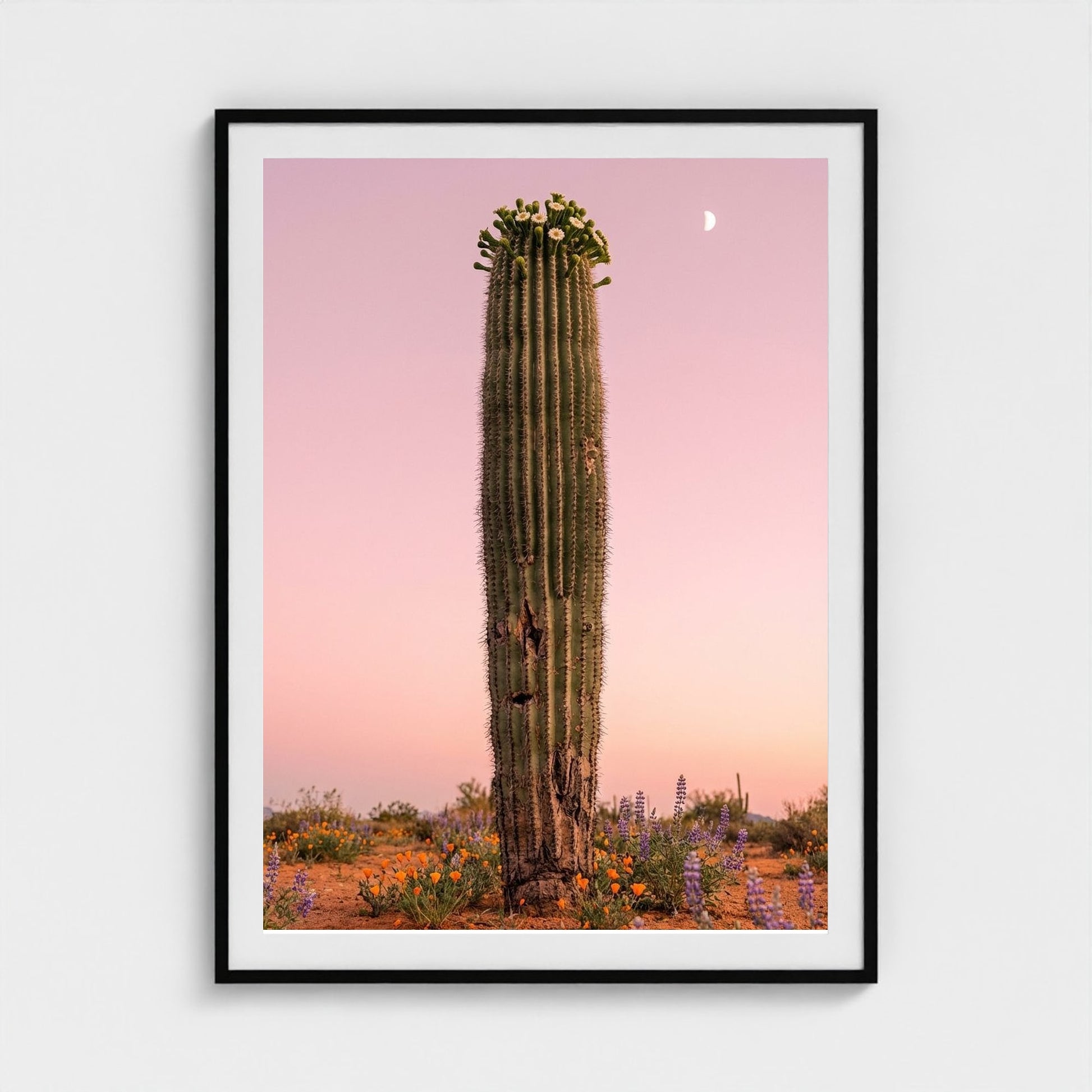 cactus-pink 36x48-black frame frame