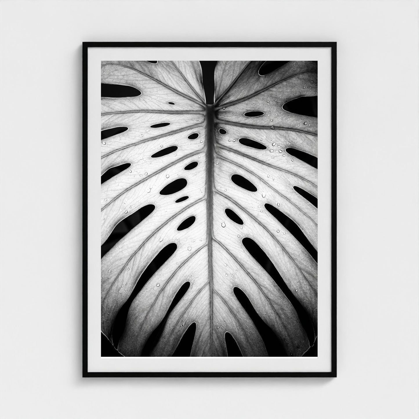 bw-monstera-light 36x48-black frame frame