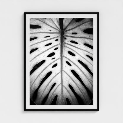 bw-monstera-light 36x48-black frame frame