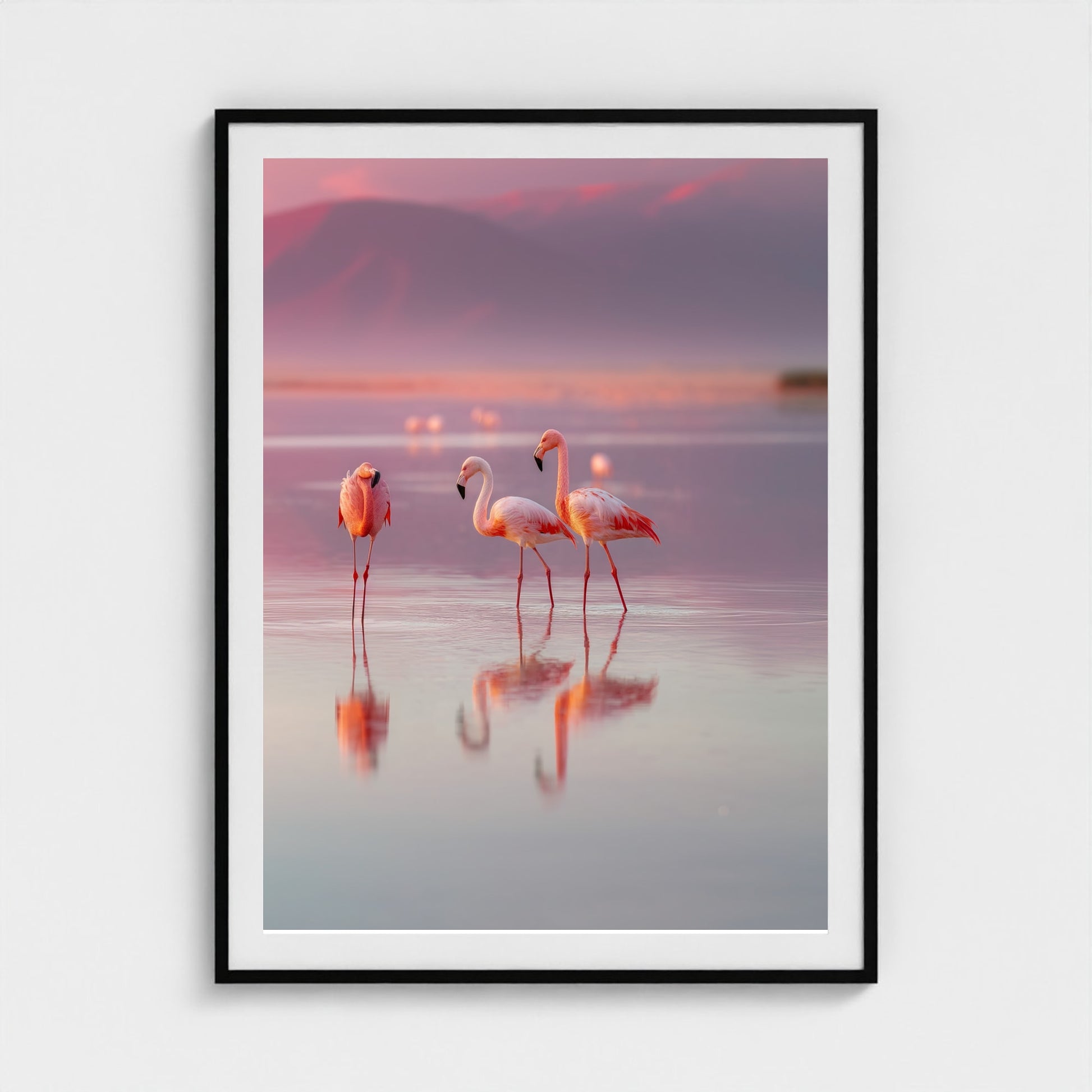 flamingos-in-shallow-pastel-water-soft-reflectio 36x48-black frame frame