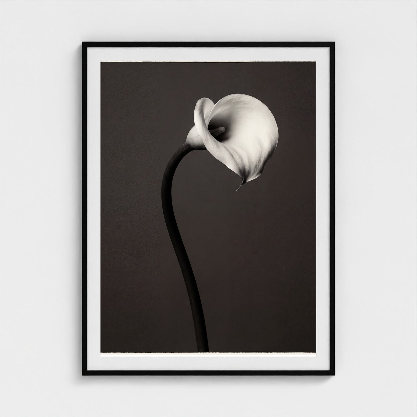 Calla Lily Wall Art — Monochrome Botanical Photography