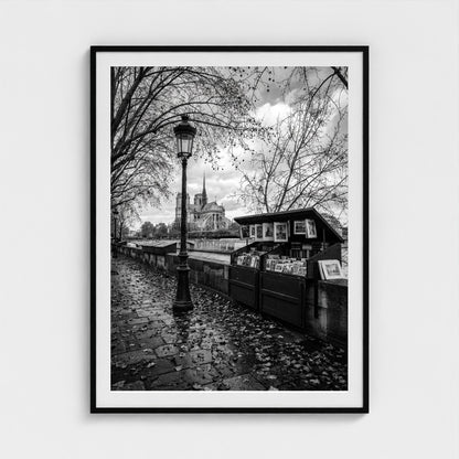 bw-autumn-paris 36x48-black frame frame