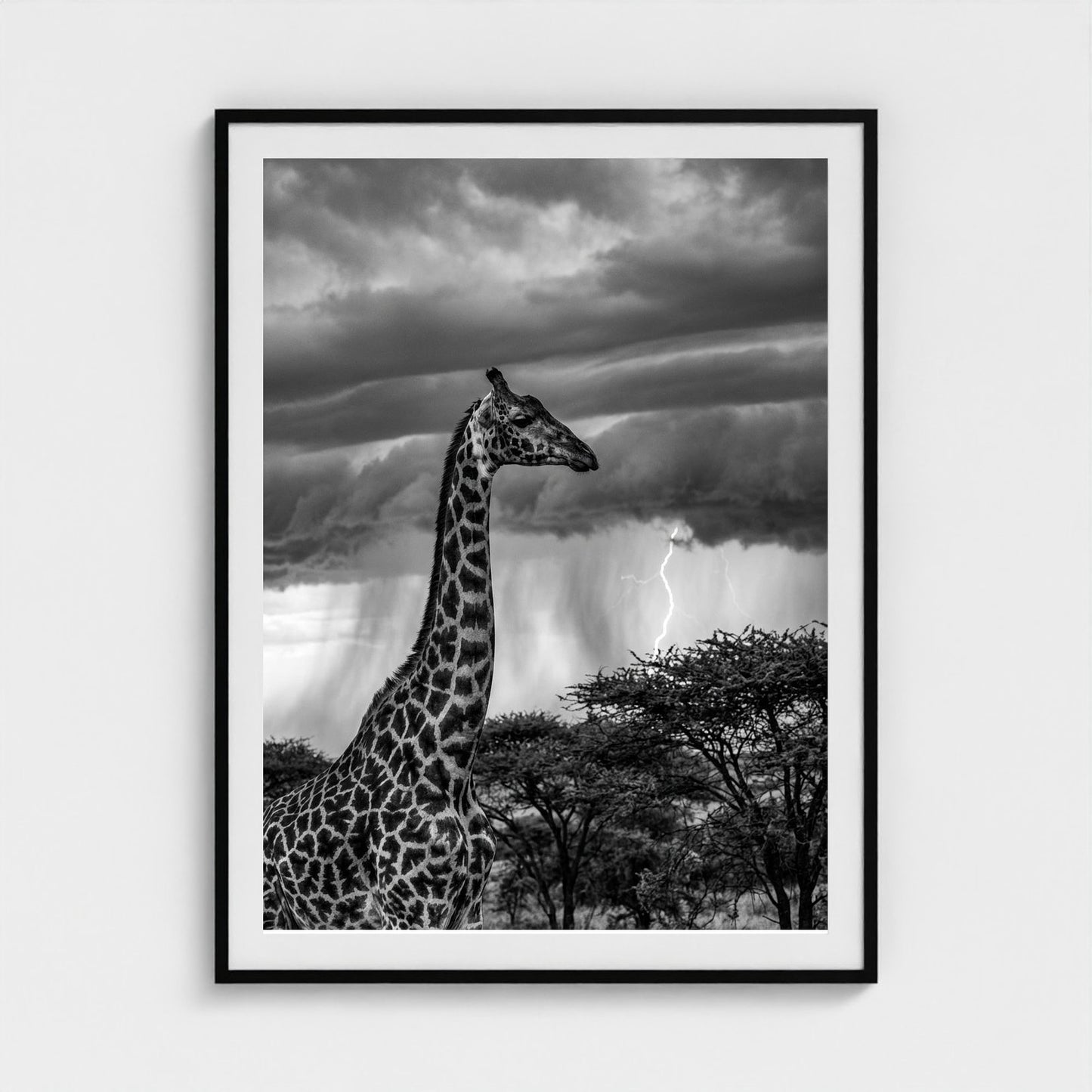 lone-giraffe 36x48-black frame frame