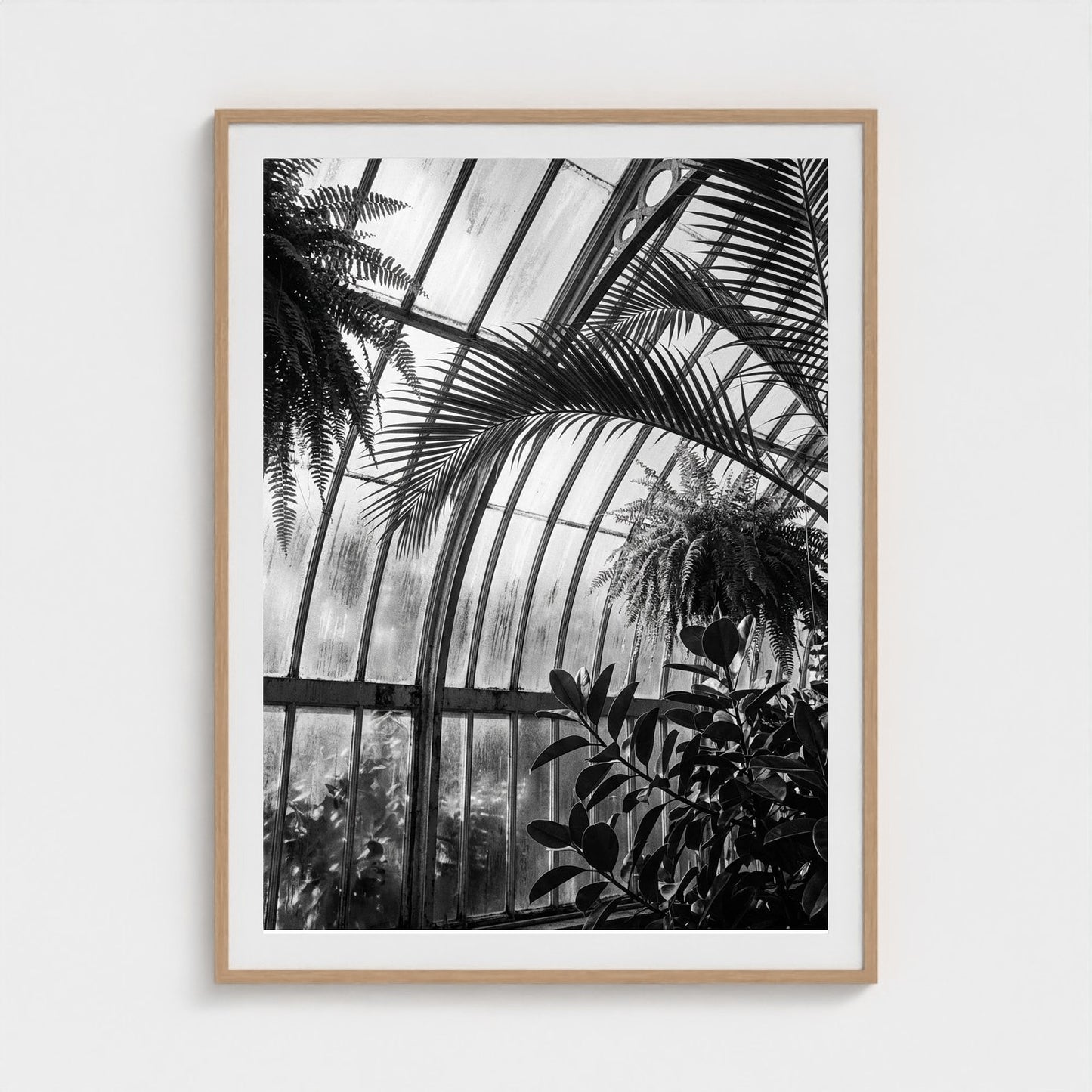 greenhouse 36x48-natural frame frame