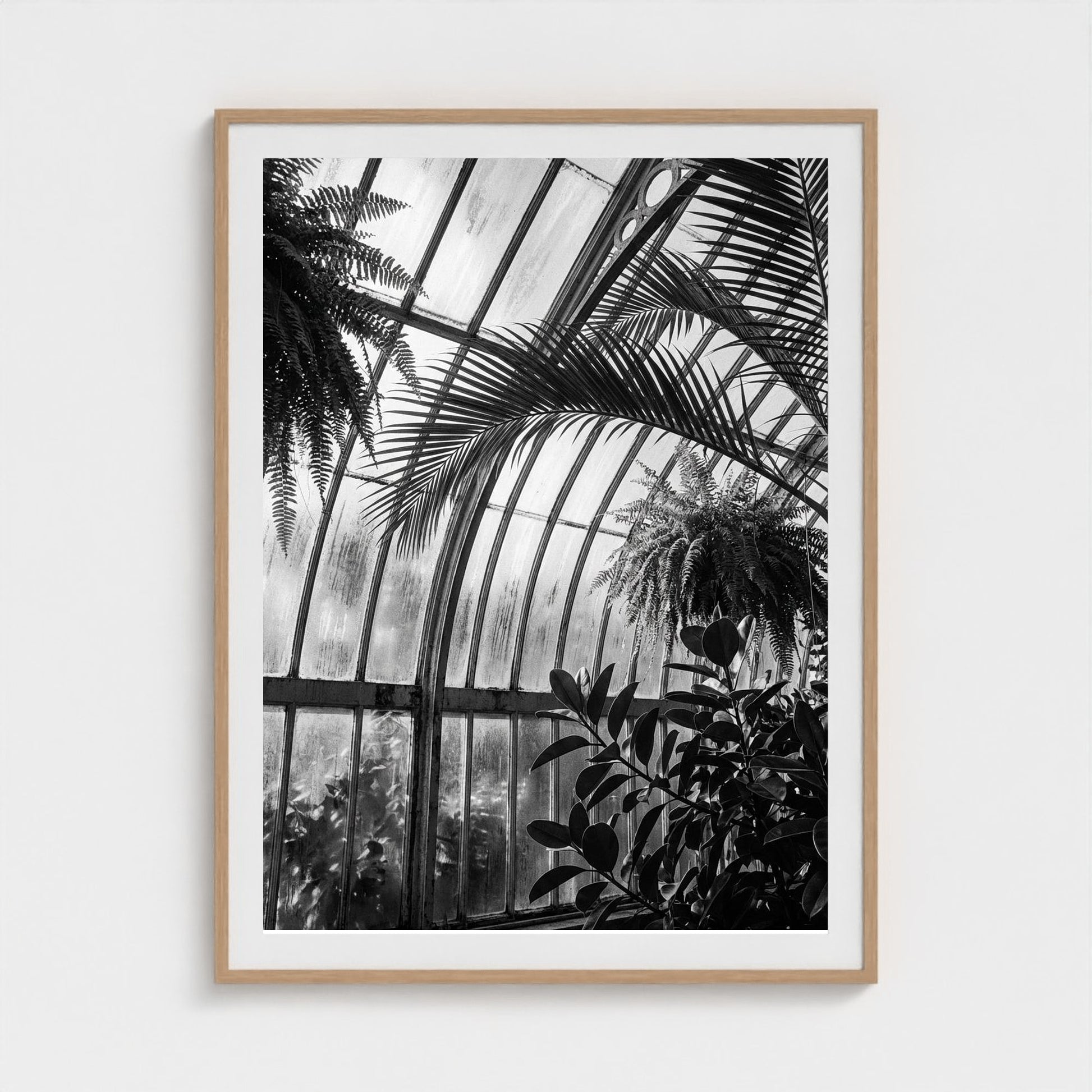 greenhouse 36x48-natural frame frame