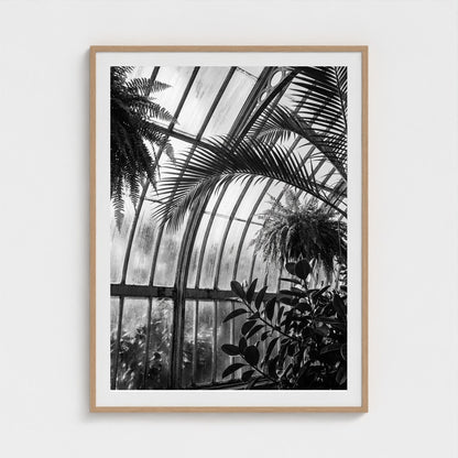 greenhouse 36x48-natural frame frame