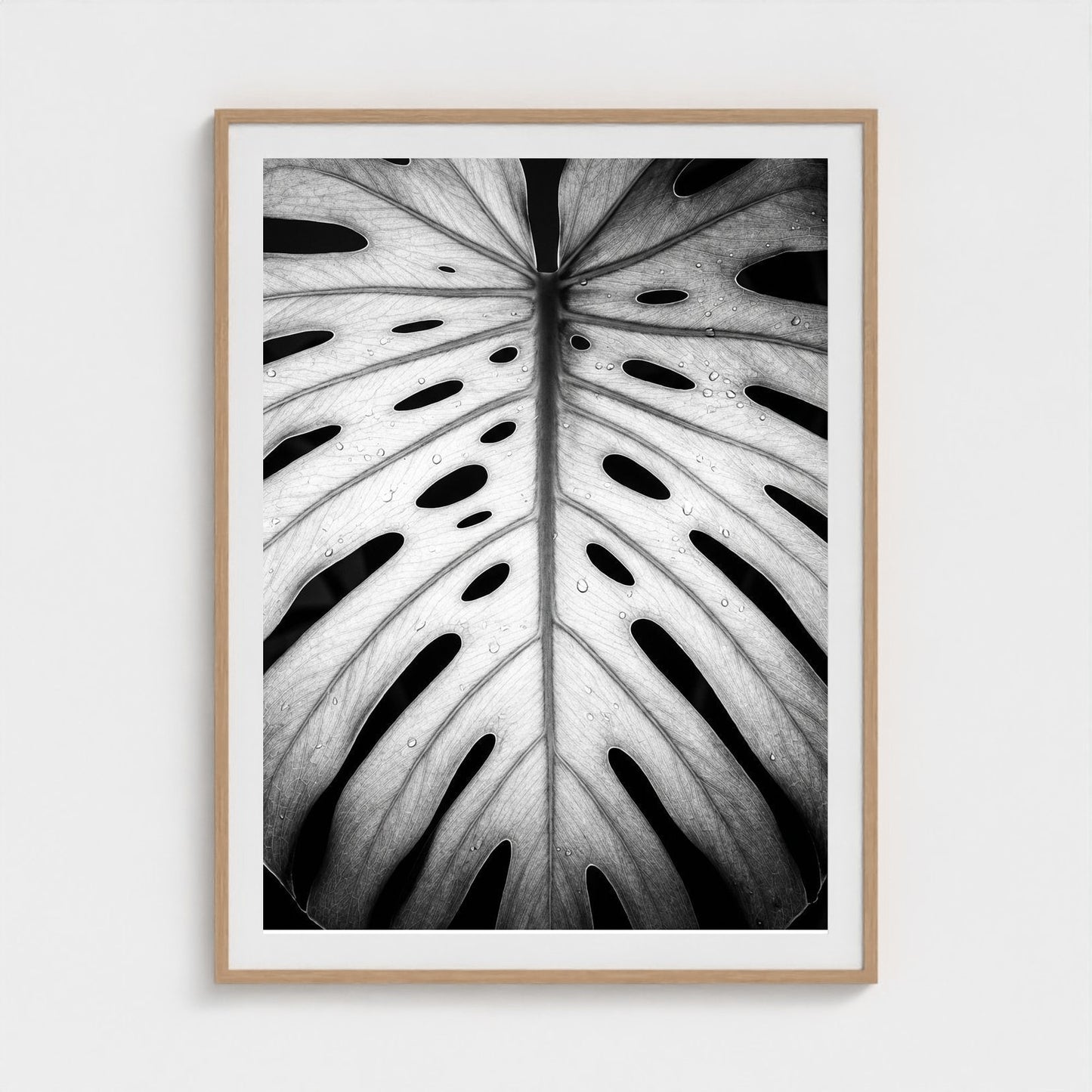 bw-monstera-light 36x48-natural frame frame