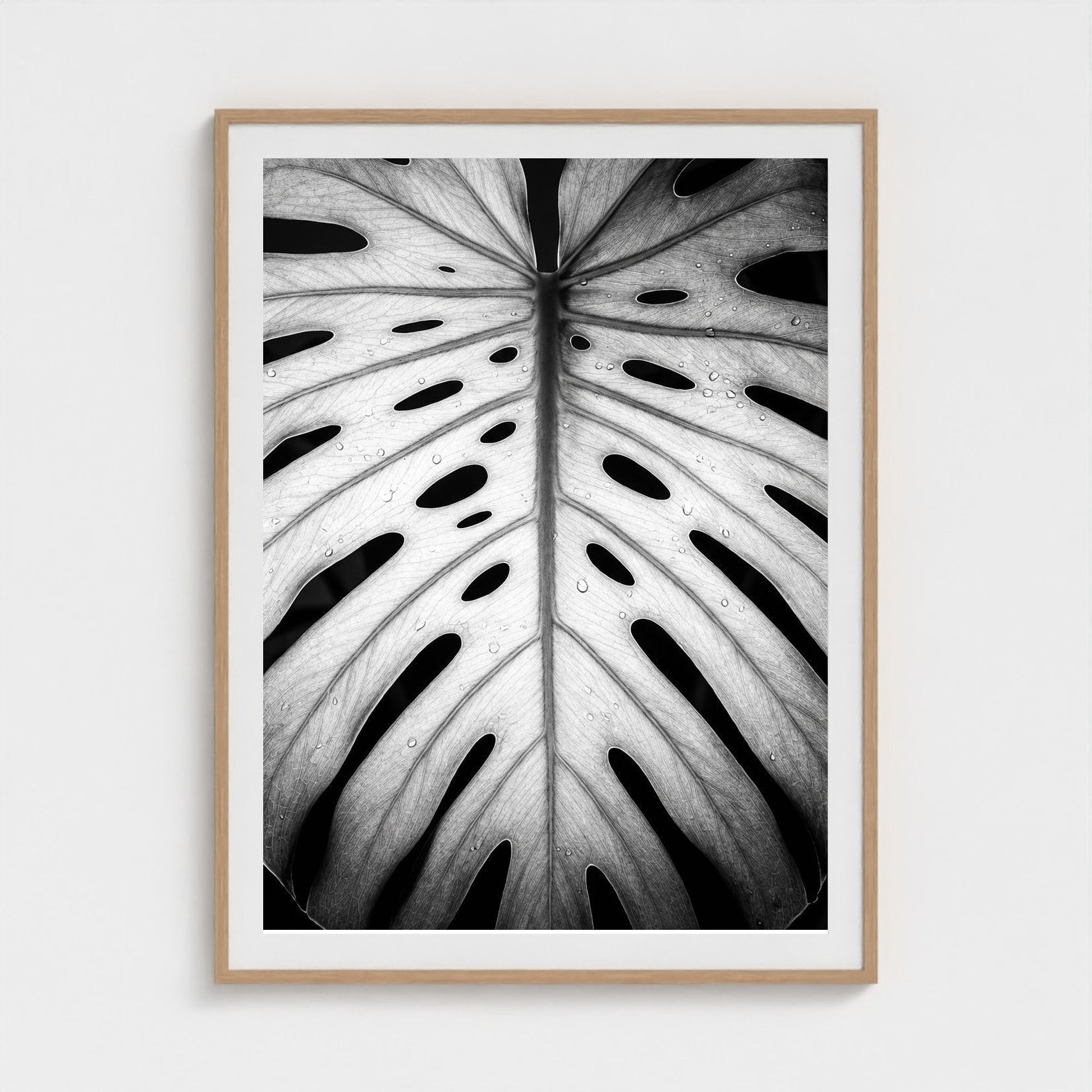 bw-monstera-light 36x48-natural frame frame