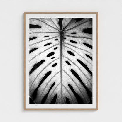 bw-monstera-light 36x48-natural frame frame