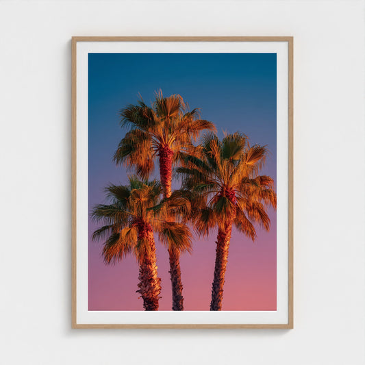 palm-trees-against-sunset-gradient-sky-minimal-f 36x48-natural frame frame
