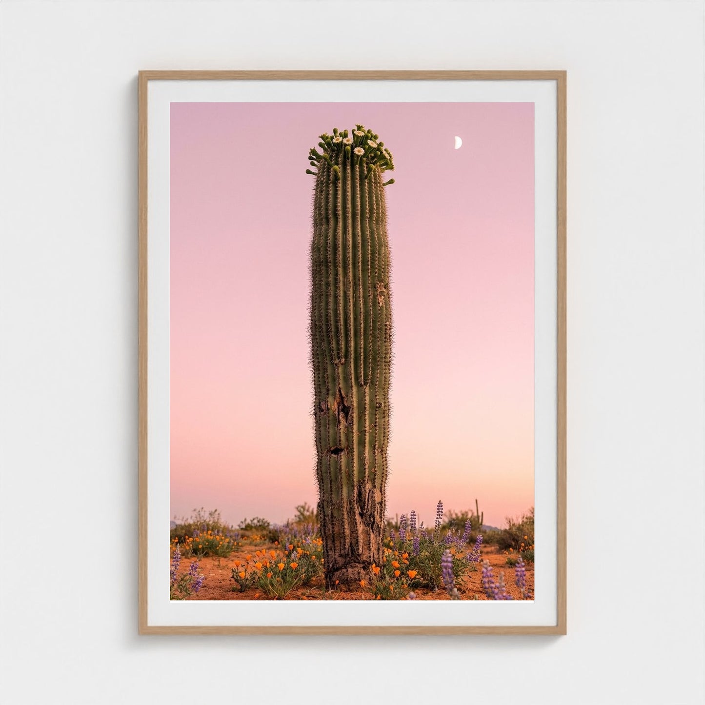 cactus-pink 36x48-natural frame frame