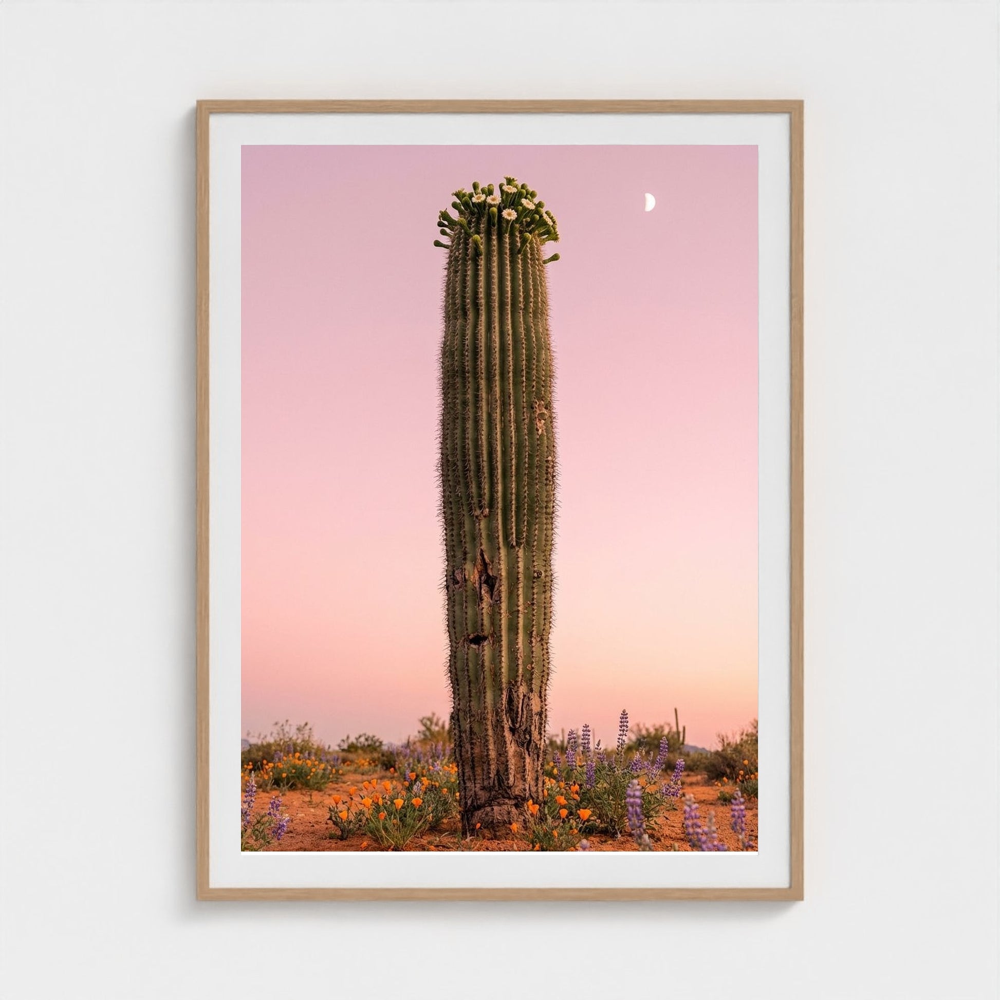 cactus-pink 36x48-natural frame frame