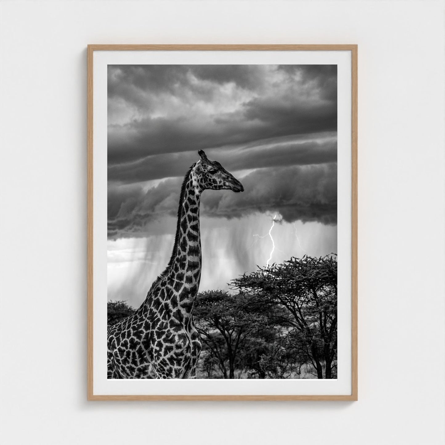 lone-giraffe 36x48-natural frame frame