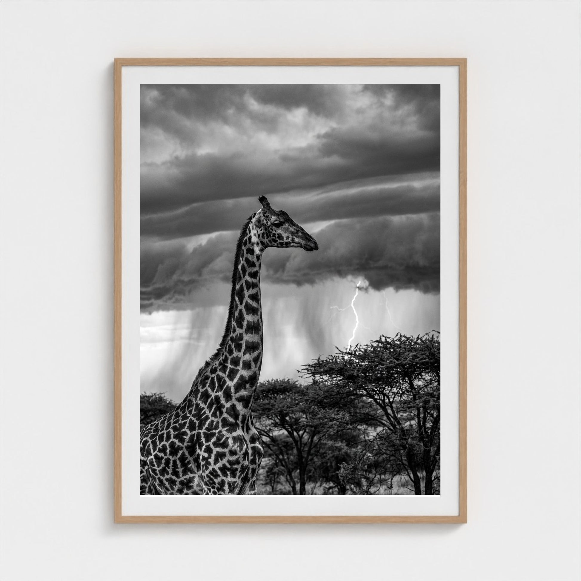 lone-giraffe 36x48-natural frame frame
