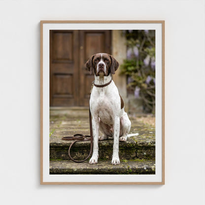 estate-hound 36x48-natural frame frame