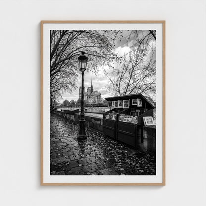bw-autumn-paris 36x48-natural frame frame