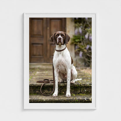 estate-hound 36x48-white frame frame
