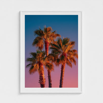 palm-trees-against-sunset-gradient-sky-minimal-f 36x48-white frame frame