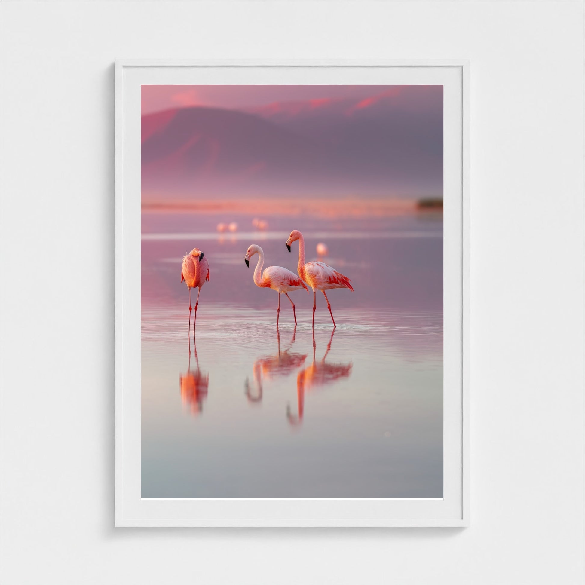 flamingos-in-shallow-pastel-water-soft-reflectio 36x48-white frame frame