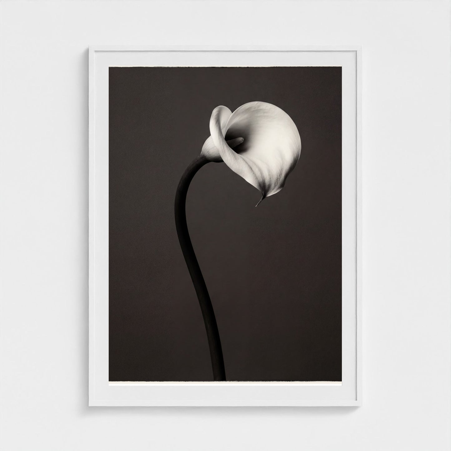 Calla Lily Wall Art — Monochrome Botanical Photography