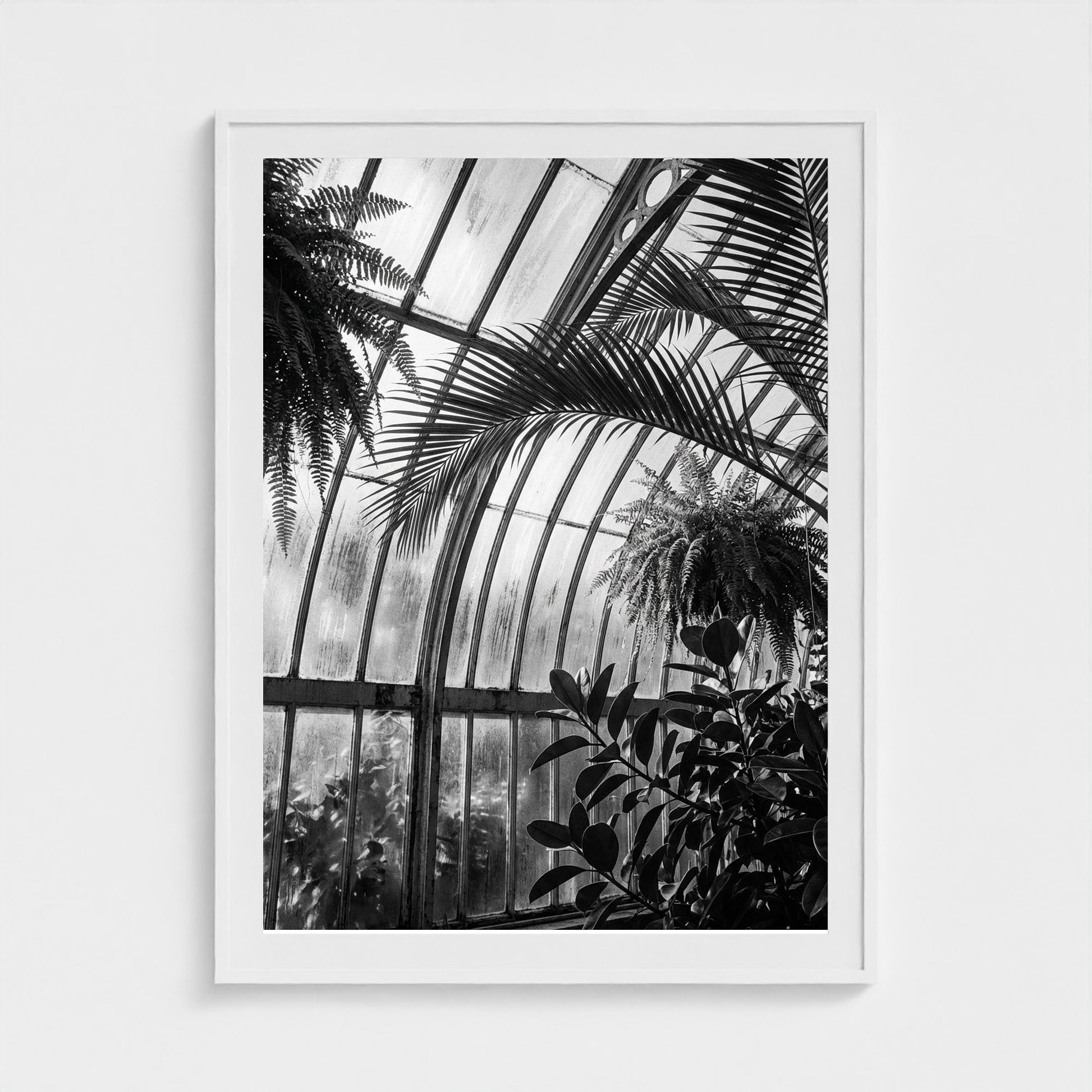 greenhouse 36x48-white frame frame