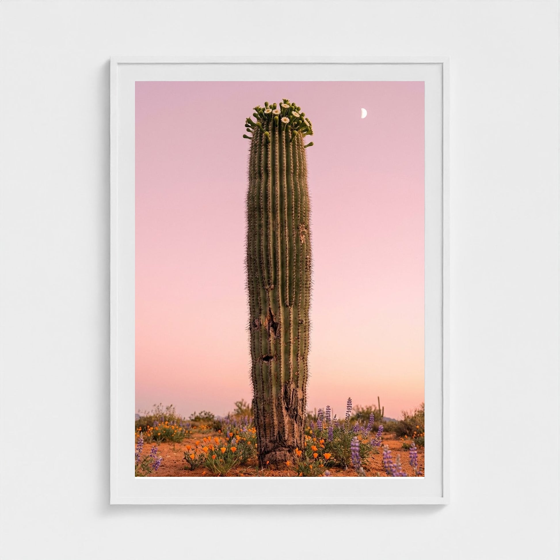cactus-pink 36x48-white frame frame