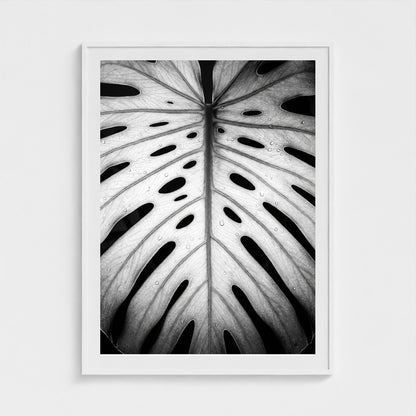 bw-monstera-light 36x48-white frame frame