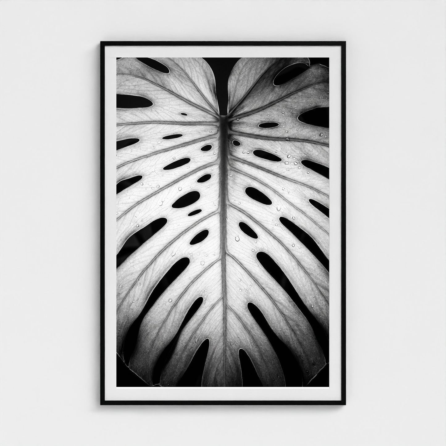 bw-monstera-light 40x60-black frame frame