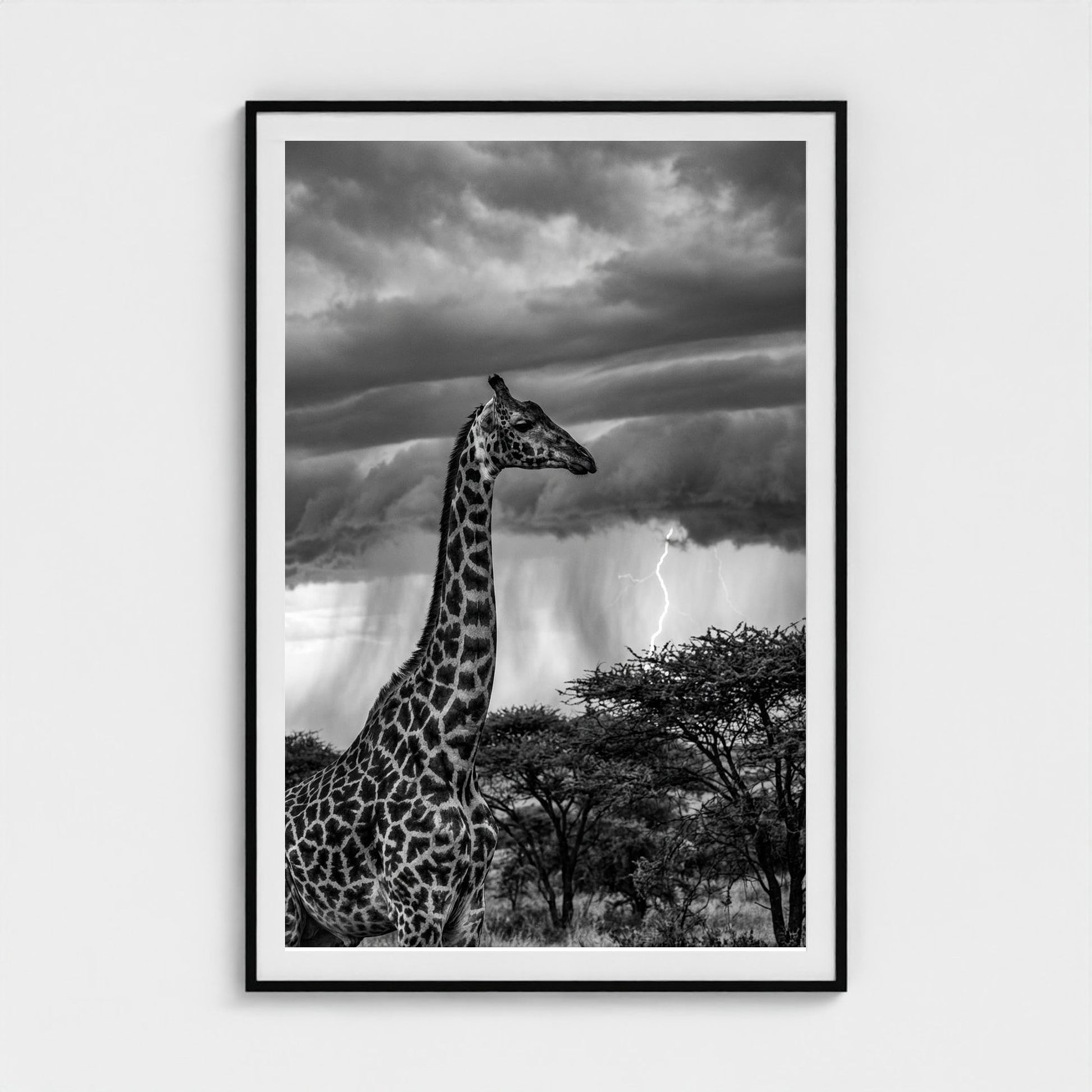 lone-giraffe 40x60-black frame frame