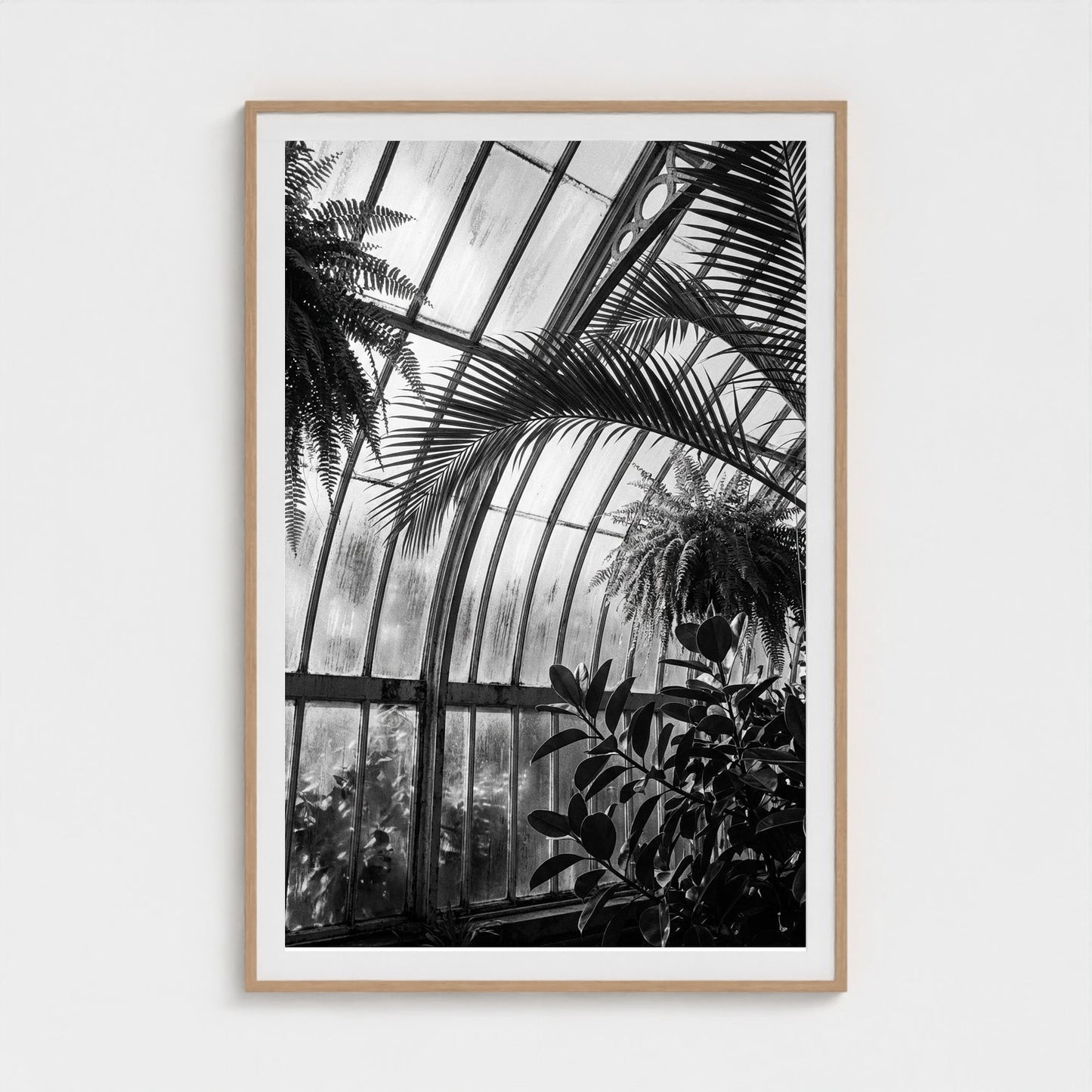greenhouse 40x60-natural frame frame