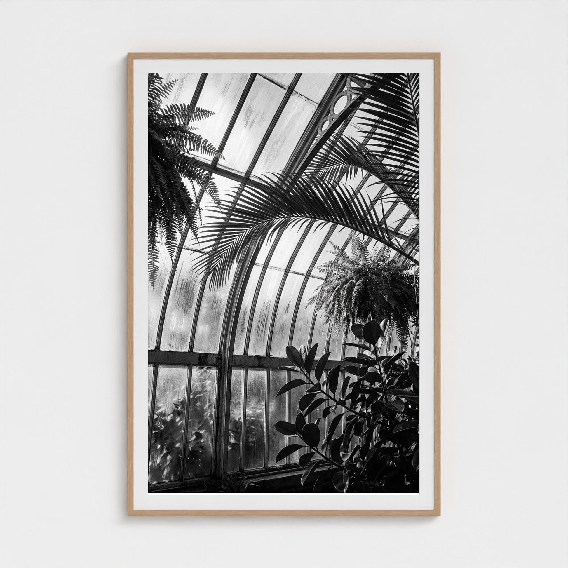 greenhouse 40x60-natural frame frame