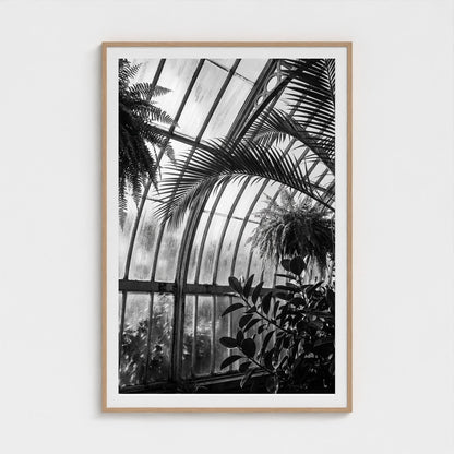 greenhouse 40x60-natural frame frame