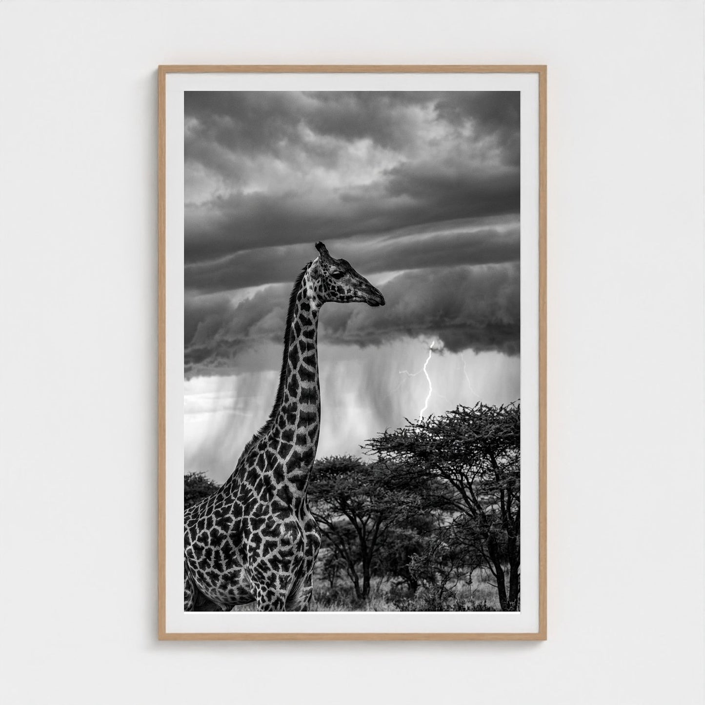 lone-giraffe 40x60-natural frame frame