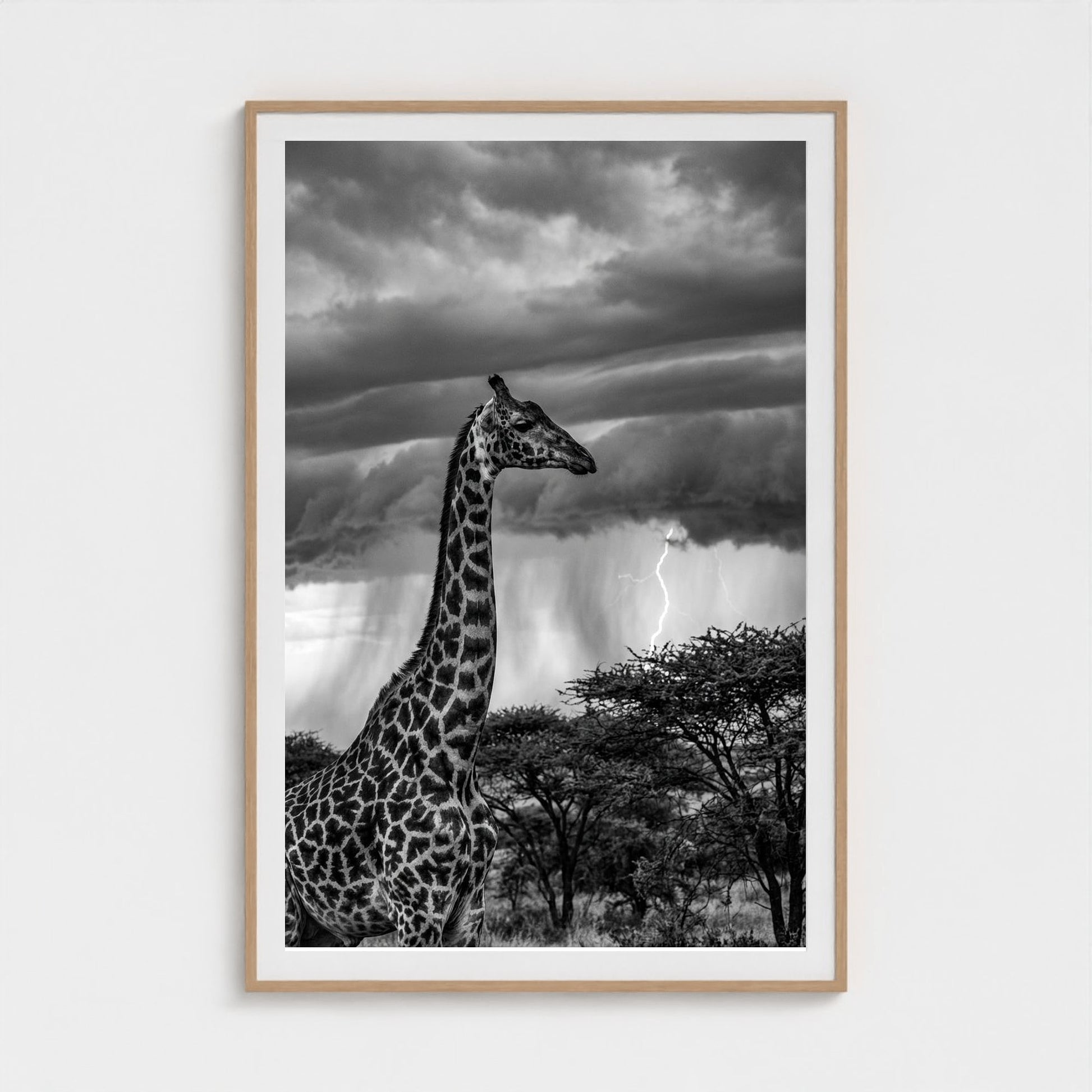 lone-giraffe 40x60-natural frame frame