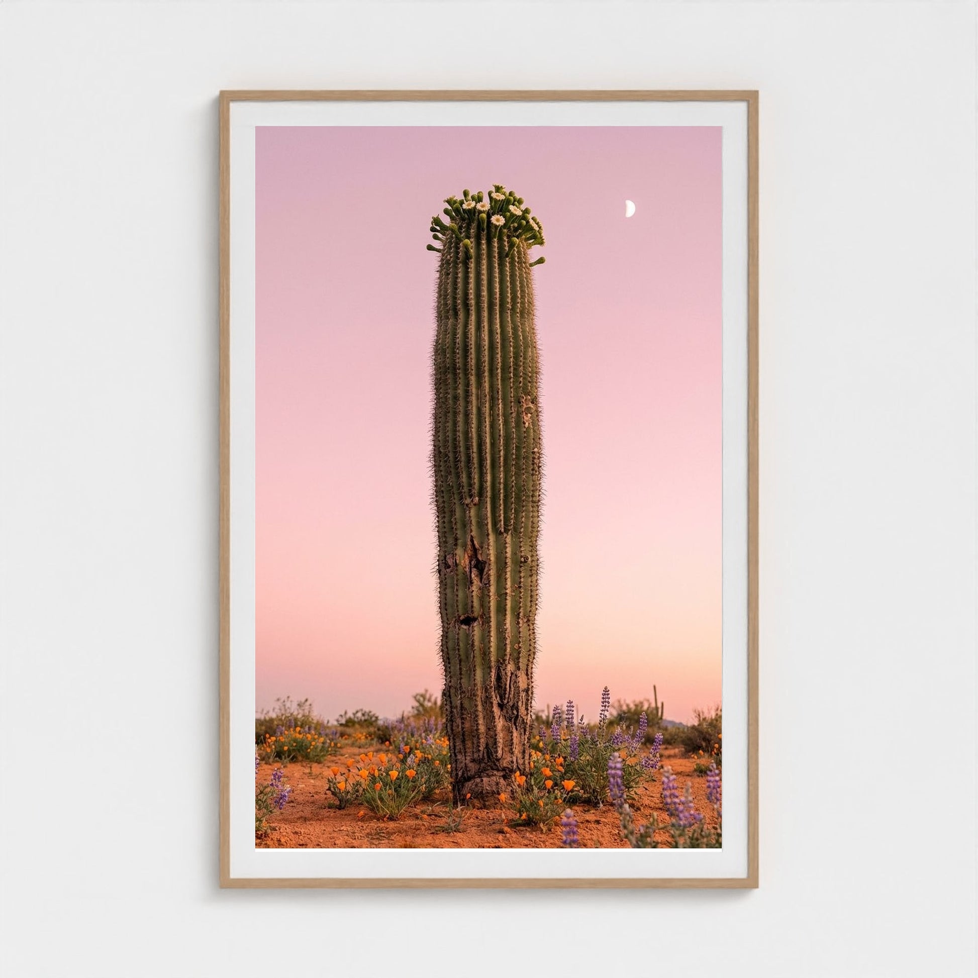 cactus-pink 40x60-natural frame frame