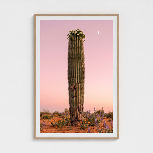 cactus-pink 40x60-natural frame frame