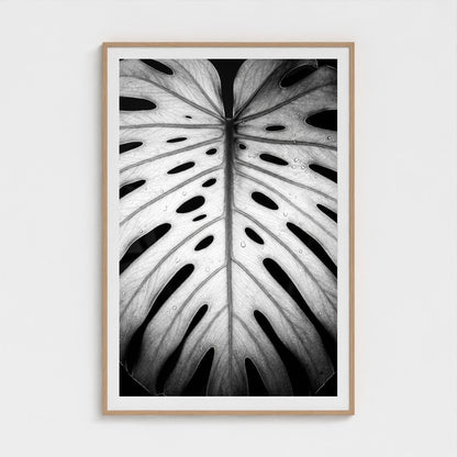 bw-monstera-light 40x60-natural frame frame
