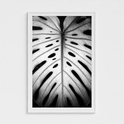 bw-monstera-light 40x60-white frame frame