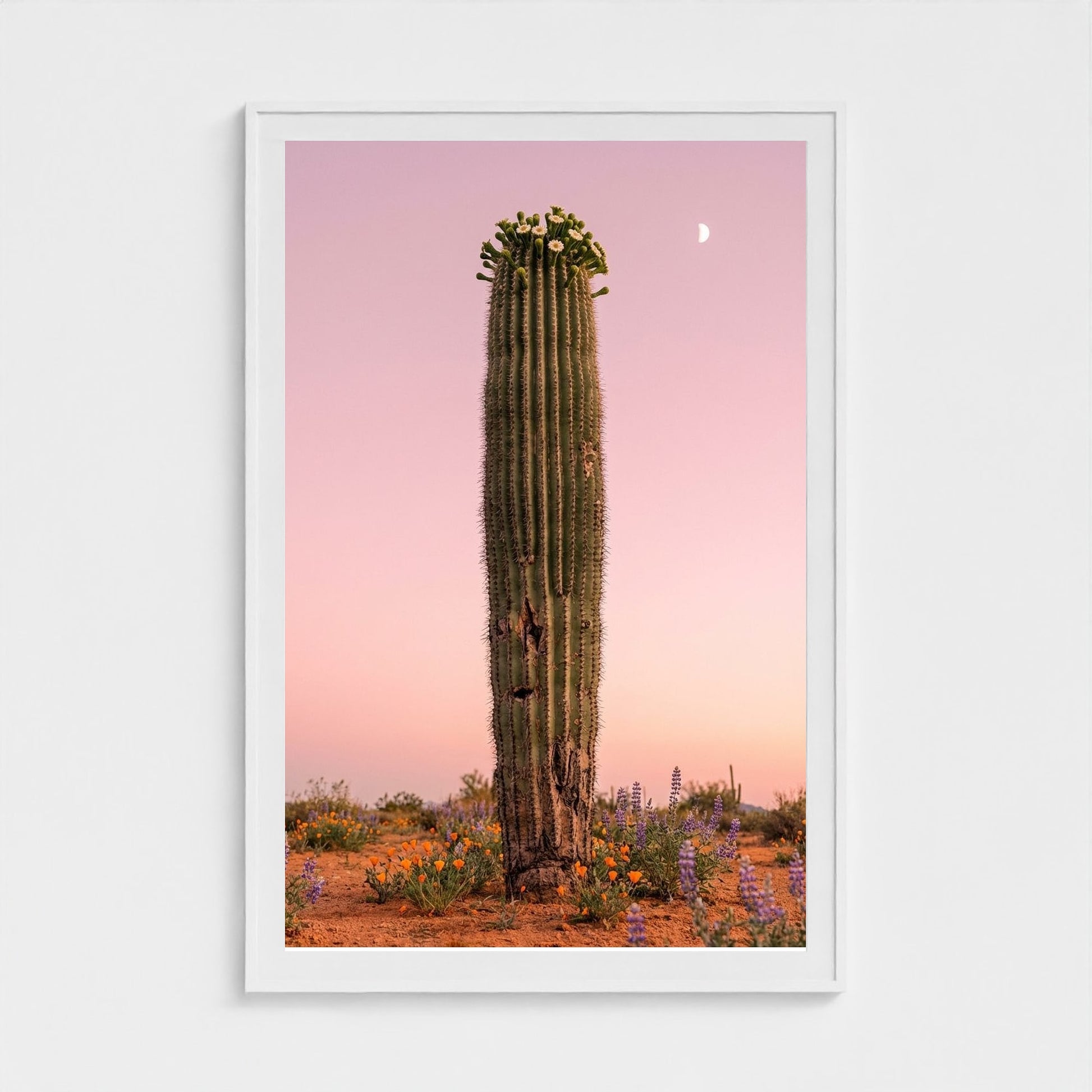 cactus-pink 40x60-white frame frame