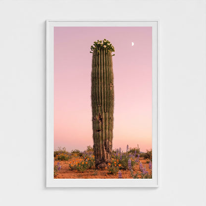 cactus-pink 40x60-white frame frame