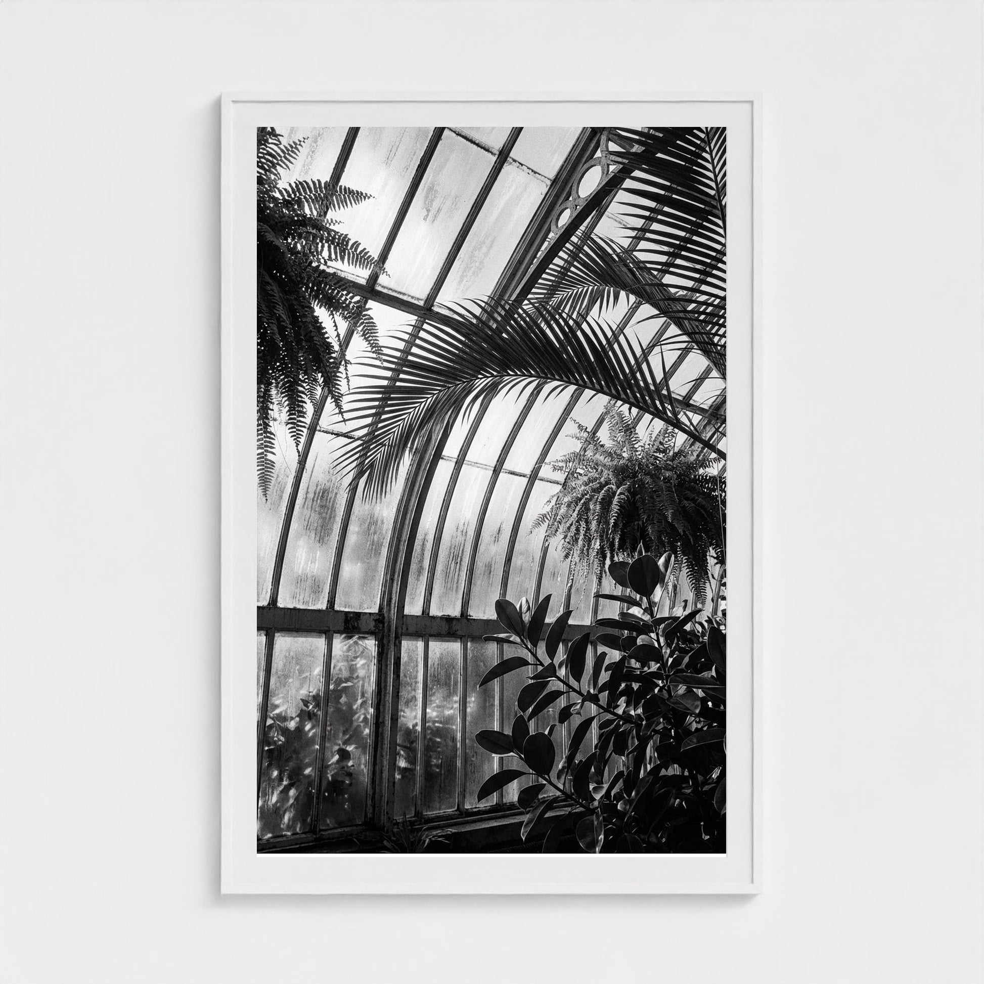greenhouse 40x60-white frame frame