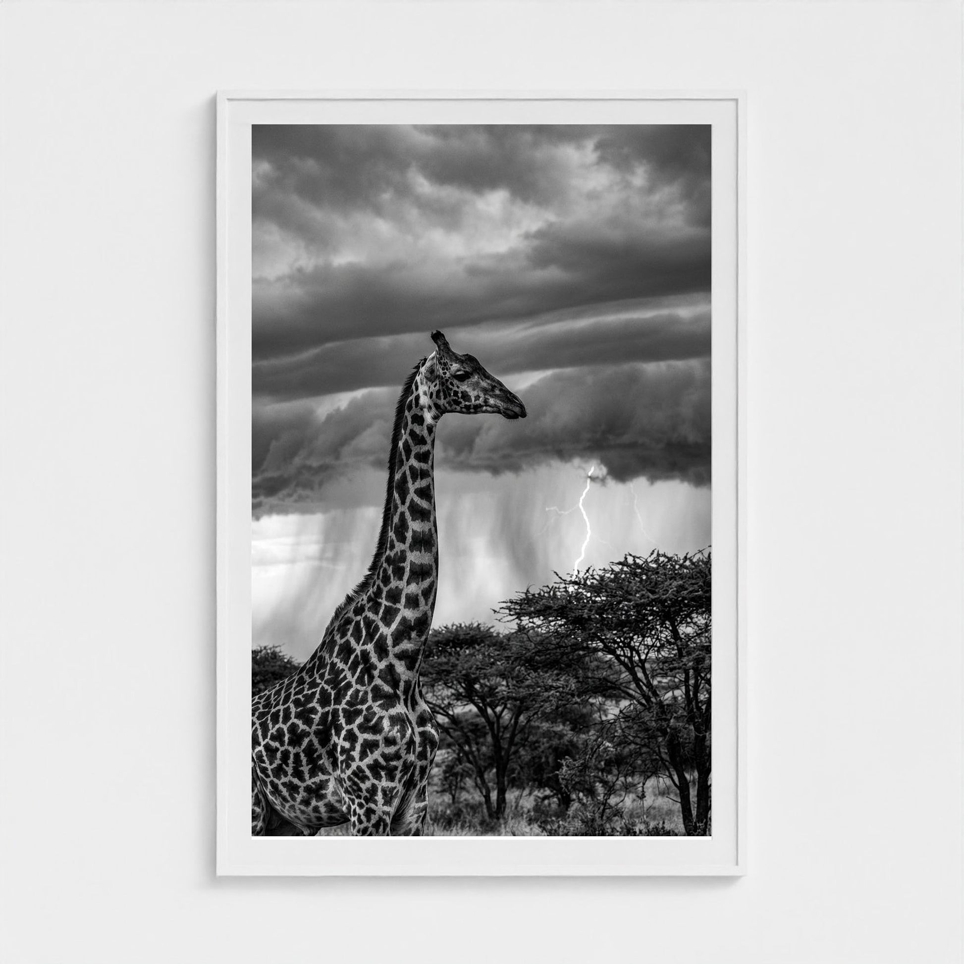 lone-giraffe 40x60-white frame frame