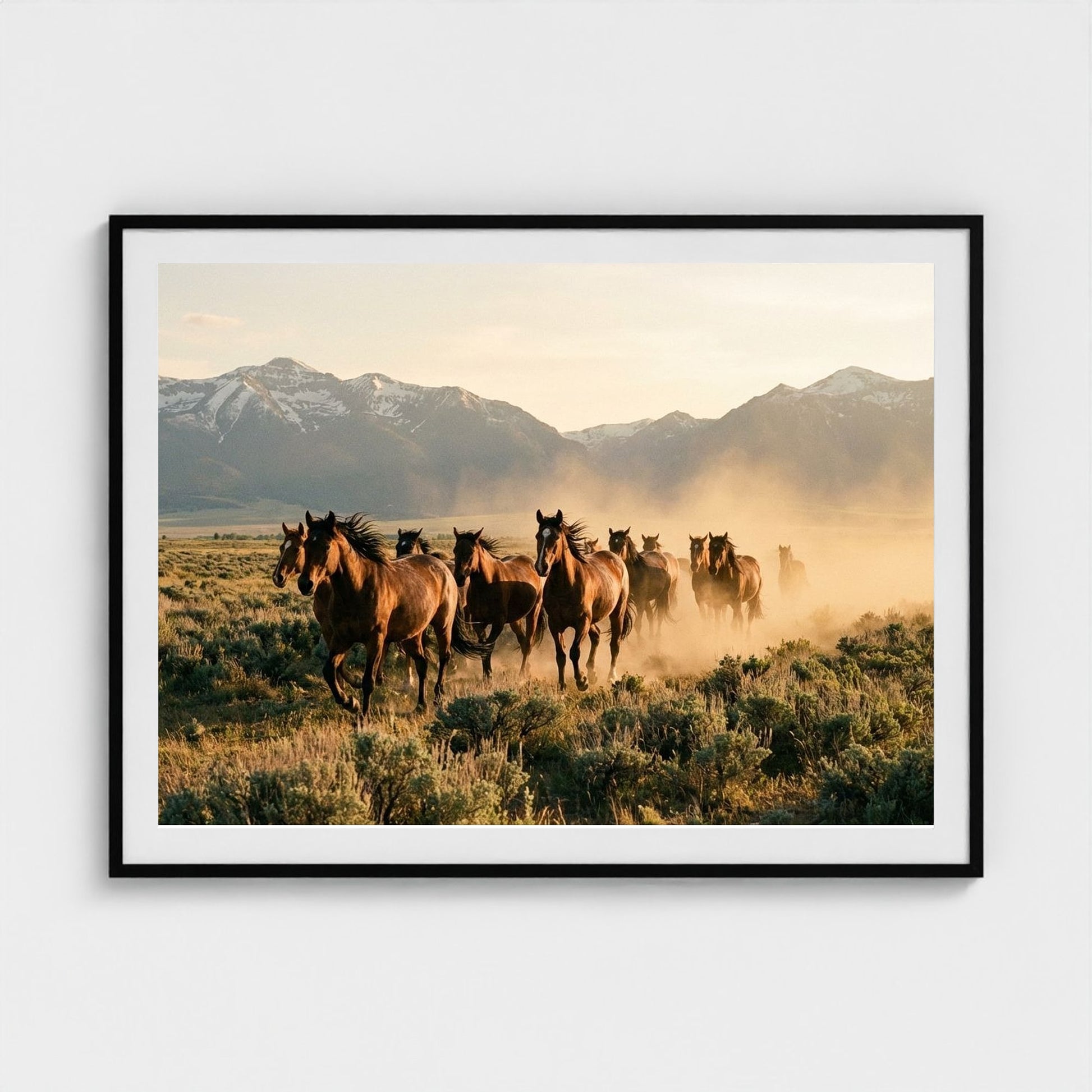 stampede 48x36-black frame frame