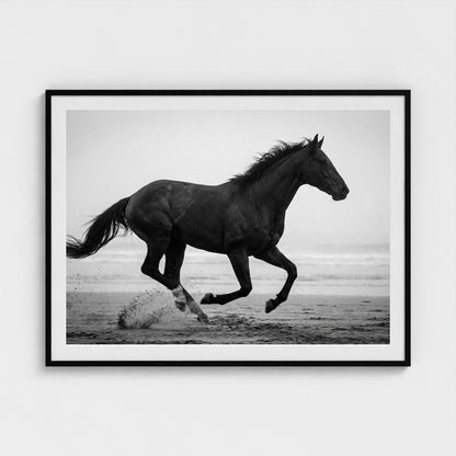 morning-gallop 48x36-black frame frame