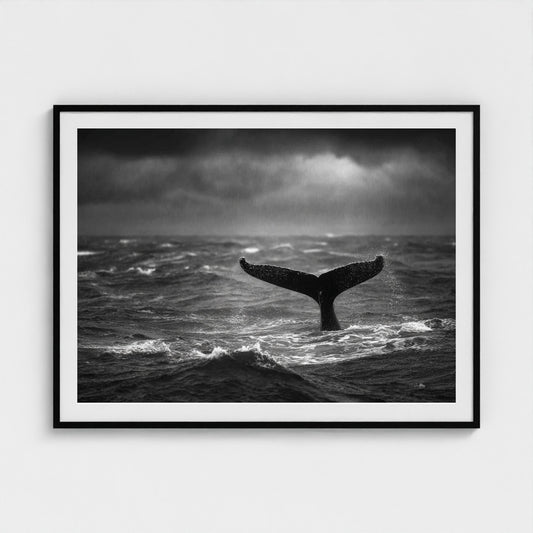 tail-fluke-against-stormy-sea-rain-sheets-and-wh 48x36-black frame frame