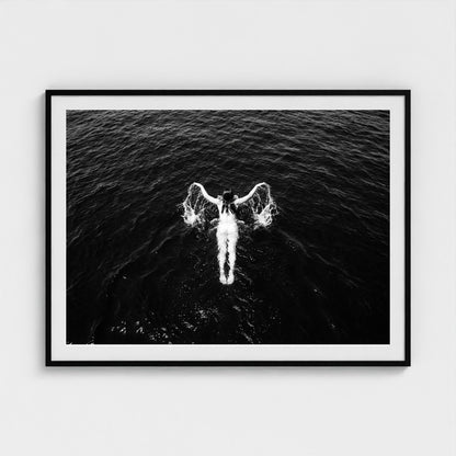 bw-open-water 48x36-black frame frame