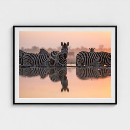 watering-hole 48x36-black frame frame