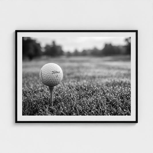 bw-morning-tee 48x36-black frame frame