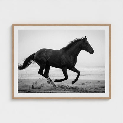 morning-gallop 48x36-natural frame frame